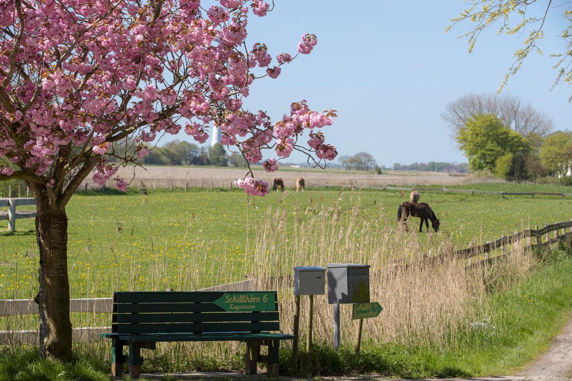 Fischerhaeuschen Am Kurpark Neuharlingersiel Εξωτερικό φωτογραφία